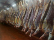Las exportaciones de carne bovina crecieron 60% en el primer cuatrimestre