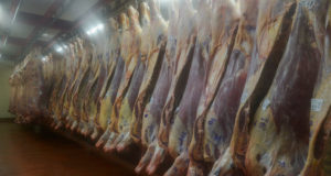 Las exportaciones de carne bovina crecieron 60% en el primer cuatrimestre