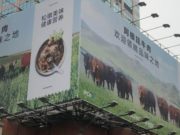 La carne argentina en China, con la expectativas realizadas