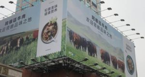 La carne argentina en China, con la expectativas realizadas