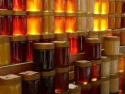 Llega la Semana de la Miel a Villa Mercedes con charlas y degustaciones