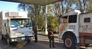 Decomisaron más de 200 kilos de pescado transportados con 15°C por encima de lo exigido