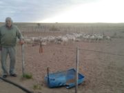 Aclaran que no se interrumpen los beneficios de la ley ovina y caprina en San Luis