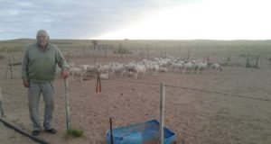 Aclaran que no se interrumpen los beneficios de la ley ovina y caprina en San Luis