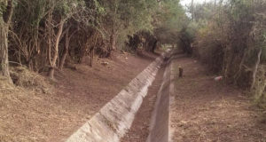 San Luis: trabajos sobre el río Conlara mejoran la red de canales que llega a cinco parajes