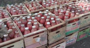 San Luis: ejemplo de organización para la elaboración de tomate triturado en Santa Martina