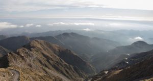 Volvieron las heladas a San Luis: 10 zonas con un sábado bajo cero