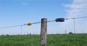 San Luis: jornada de capacitación en Fortuna sobre bienestar animal y alambrado eléctrico