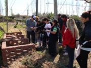 ProHuerta Innova, un concurso nacional que desafía a los jóvenes de todo el país