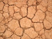 Declaran la emergencia agropecuaria en La Pampa y Buenos Aires