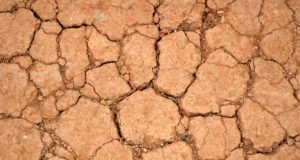 Declaran la emergencia agropecuaria en La Pampa y Buenos Aires