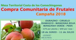 San Luis: fomentan la compra comunitaria de frutales y rosas en zona de Comechingones