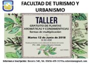 Merlo: taller gratuito sobre plantas aromáticas y condimenticias y sus formas de multiplicación
