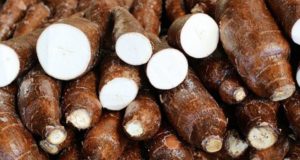 El cultivo del siglo XXI busca su lugar en la ciudad