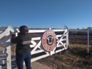 San Luis: violaron la faja de clausura del feedlot Nicanor y el Gobierno notificó al SENASA
