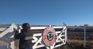 San Luis: violaron la faja de clausura del feedlot Nicanor y el Gobierno notificó al SENASA