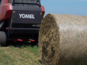 Las rotoenfardadoras apuntan hacia el atado con red