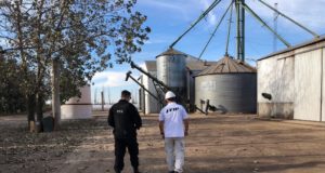 AFIP decomisó en Córdoba casi 650 toneladas de cereal sin declarar