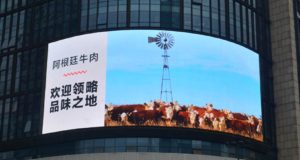 Estudio inédito del IPCVA: los consumidores chinos quieren probar la carne vacuna argentina