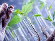Convocatoria para participar del premio Biovalor