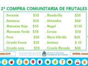 San Luis: ya adquirieron 3.300 ejemplares en la compra comunitaria de frutales y se viene la segunda