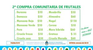 San Luis: ya adquirieron 3.300 ejemplares en la compra comunitaria de frutales y se viene la segunda