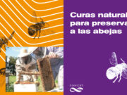 La sociedad de las colmenas muertas: buscan curas naturales para preservar a las abejas