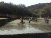 San Luis Agua: limpian la cisterna del acueducto Socoscora y controlan la red provincial