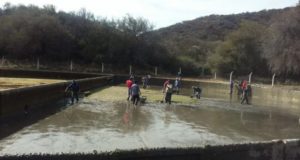 San Luis Agua: limpian la cisterna del acueducto Socoscora y controlan la red provincial