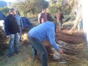 San Luis : sigue hasta agosto la segunda parte de compra comunitaria de frutales