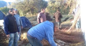 San Luis : sigue hasta agosto la segunda parte de compra comunitaria de frutales