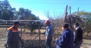 San Luis: promueven vínculo ente productores de Luján y San Miguel