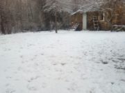 San Luis: La Carolina amaneció cubierta de nieve y volvieron las postales blancas