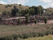 Amplían estudio científico en la maltratada cuenca del río Volcán que generó la clausura de un feedlot