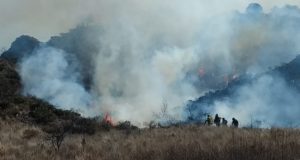 San Luis: bomberos enfrentan un descontrolado incendio entre El Volcán y Potrero de los Funes