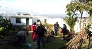 San Luis: sigue esta semana la segunda parte de la compra comunitaria de frutales