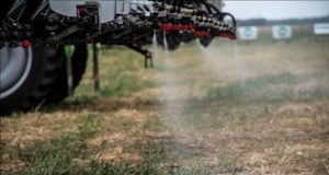 Agricultura de precisión y cultivo de cobertura: 60% de ahorro en insumos y 80% de control de malezas