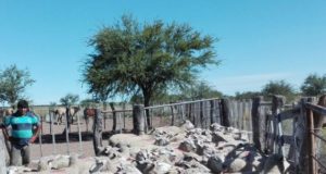 San Luis: Agricultura Familiar de la Nación Presentó 11 proyectos por la Ley Ovina