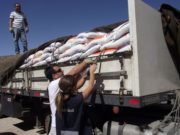 Patrimonio agropecuario: controles del Senasa en el Paso Internacional Cristo Redentor