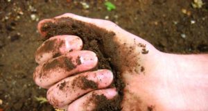 Recursos naturales: crearon el Plan Nacional de Suelos Agropecuarios