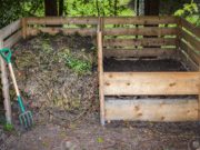 Villa Mercedes: curso intensivo de compostaje domiciliario para jardinería