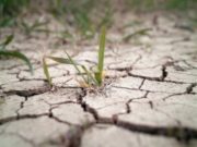 El balance hídrico, fundamental para el agro