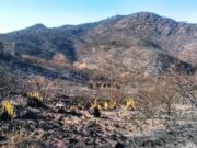 Los últimos incendios en San Luis arrasaron con más de 17 mil hectáreas