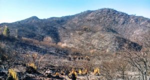 Los últimos incendios en San Luis arrasaron con más de 17 mil hectáreas