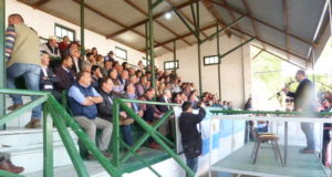 Del 13 al 16 de septiembre se realizará la 89° Exposición Rural en Villa Mercedes