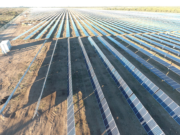 San Luis: entró en operaciones el primer parque solar de «RenovAr»