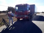 San Luis: el Senasa toma medidas para prevenir el ingreso del picudo del algodonero