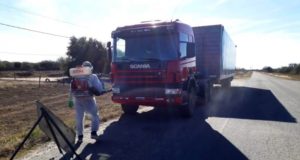 San Luis: el Senasa toma medidas para prevenir el ingreso del picudo del algodonero