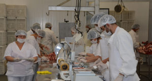 “Carnes San Luis” debuta este miércoles en los comercios con 2.500 bandejas de cortes vacunos