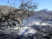 San Luis: el gobierno midió que el fuego arrasó con más de 7.000 hectáreas en los últimos incendios